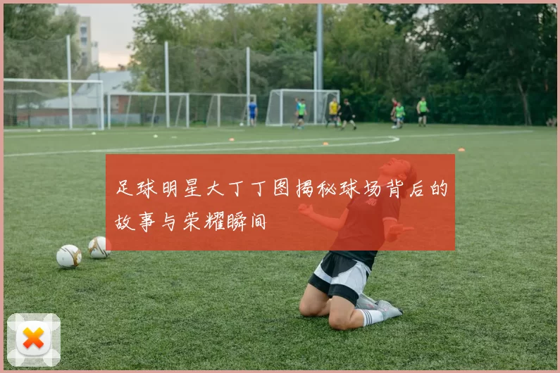 足球明星大丁丁图揭秘球场背后的故事与荣耀瞬间