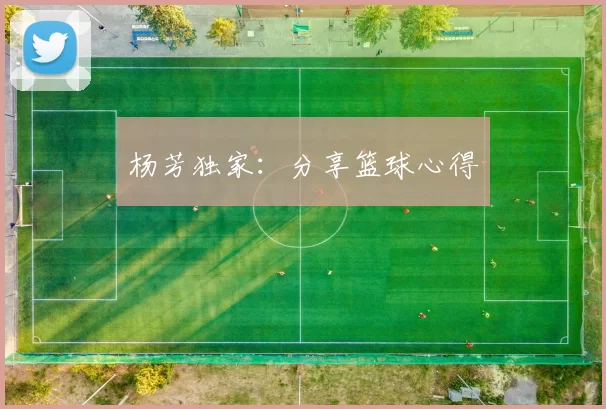 杨芳独家：分享篮球心得