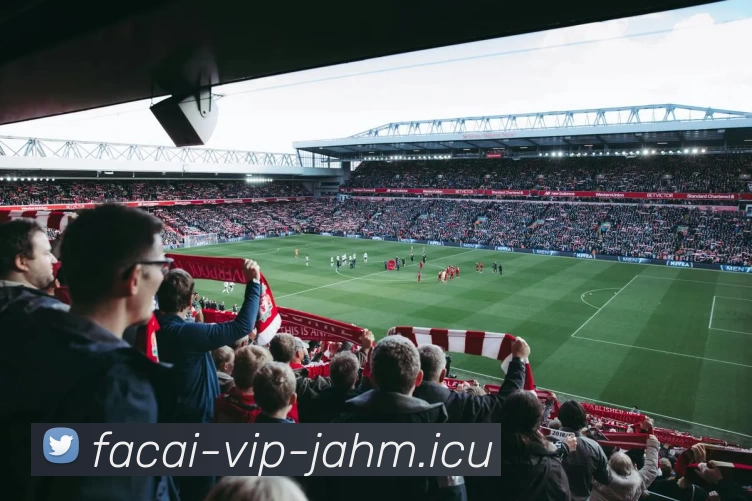 独家分析：深圳排球队的实力对比